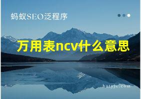 万用表ncv什么意思