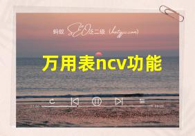 万用表ncv功能