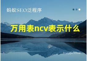 万用表ncv表示什么