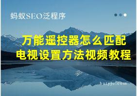 万能遥控器怎么匹配电视设置方法视频教程