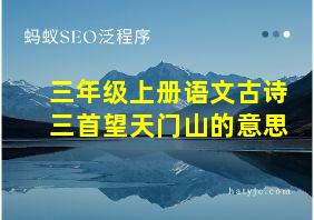 三年级上册语文古诗三首望天门山的意思