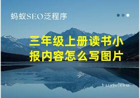 三年级上册读书小报内容怎么写图片