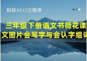 三年级下册语文书荷花课文图片会写字与会认字组词