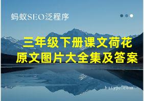 三年级下册课文荷花原文图片大全集及答案