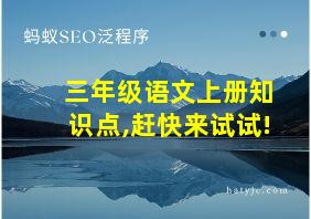 三年级语文上册知识点,赶快来试试!