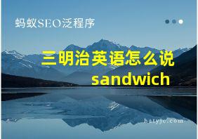 三明治英语怎么说sandwich