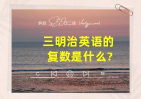 三明治英语的复数是什么?