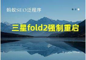 三星fold2强制重启