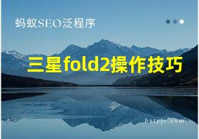 三星fold2操作技巧