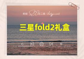 三星fold2礼盒