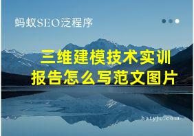 三维建模技术实训报告怎么写范文图片