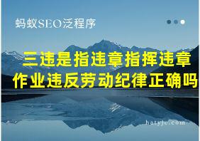 三违是指违章指挥违章作业违反劳动纪律正确吗