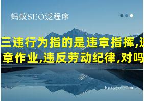 三违行为指的是违章指挥,违章作业,违反劳动纪律,对吗?