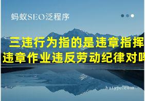 三违行为指的是违章指挥违章作业违反劳动纪律对吗