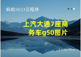 上汽大通7座商务车g50图片