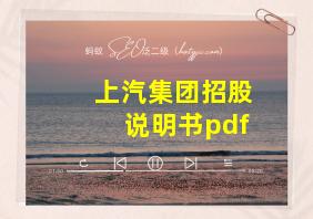 上汽集团招股说明书pdf