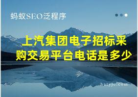 上汽集团电子招标采购交易平台电话是多少