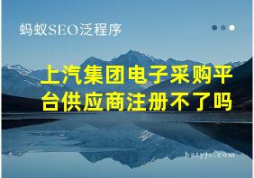 上汽集团电子采购平台供应商注册不了吗