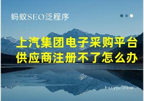 上汽集团电子采购平台供应商注册不了怎么办