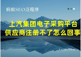 上汽集团电子采购平台供应商注册不了怎么回事