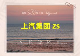 上汽集团 zs