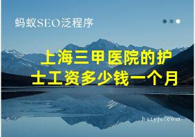 上海三甲医院的护士工资多少钱一个月