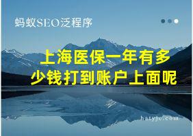 上海医保一年有多少钱打到账户上面呢