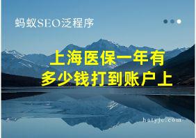 上海医保一年有多少钱打到账户上