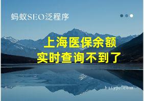 上海医保余额实时查询不到了