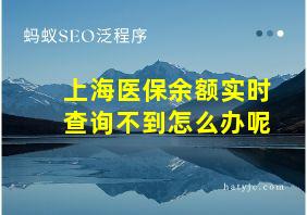 上海医保余额实时查询不到怎么办呢