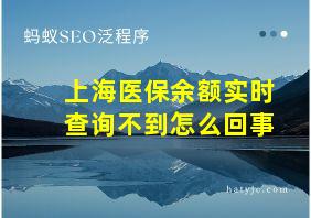 上海医保余额实时查询不到怎么回事