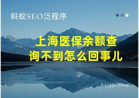 上海医保余额查询不到怎么回事儿