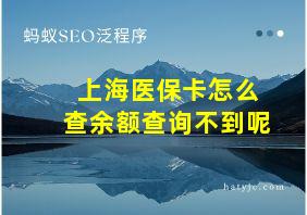 上海医保卡怎么查余额查询不到呢