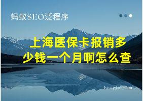 上海医保卡报销多少钱一个月啊怎么查