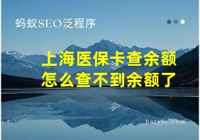 上海医保卡查余额怎么查不到余额了