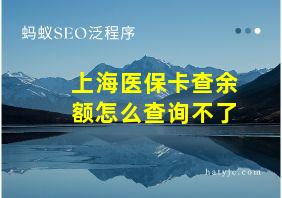 上海医保卡查余额怎么查询不了