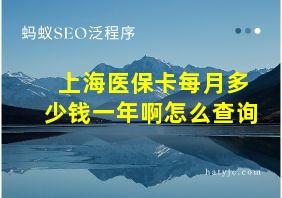 上海医保卡每月多少钱一年啊怎么查询