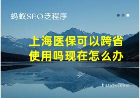 上海医保可以跨省使用吗现在怎么办