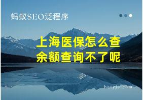 上海医保怎么查余额查询不了呢