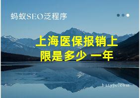 上海医保报销上限是多少 一年