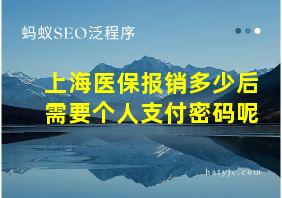 上海医保报销多少后需要个人支付密码呢