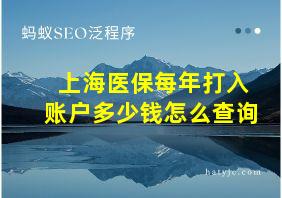 上海医保每年打入账户多少钱怎么查询