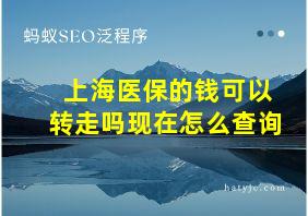 上海医保的钱可以转走吗现在怎么查询