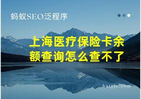 上海医疗保险卡余额查询怎么查不了