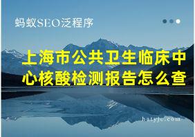 上海市公共卫生临床中心核酸检测报告怎么查