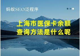 上海市医保卡余额查询方法是什么呢