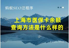 上海市医保卡余额查询方法是什么样的