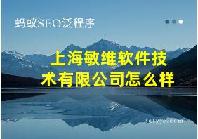 上海敏维软件技术有限公司怎么样