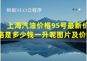 上海汽油价格95号最新价格是多少钱一升呢图片及价格