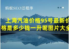 上海汽油价格95号最新价格是多少钱一升呢图片大全